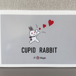 Cupid Rabbit