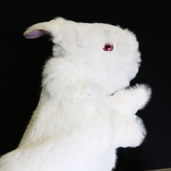 Rabbit Hand Puppet