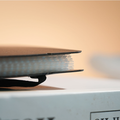 Svengali Album (carte &agrave; jouer)