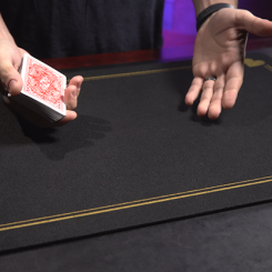 Tapis PIP Standard Moyen (noir)